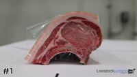 Ham#1