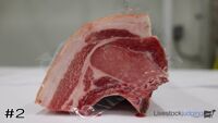 Ham#2
