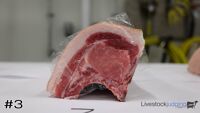 Ham#3