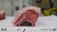 Ham#4