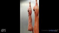 Carcass #1