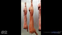 Carcass #2