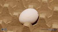 Egg#8