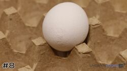 Egg#8