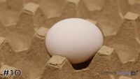 Egg#10