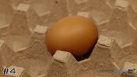 Egg#4