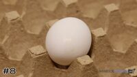 Egg#8