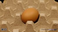 Egg#6