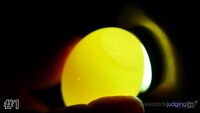 Egg#1