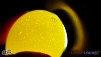 Egg#6