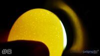 Egg#8