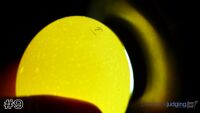 Egg#9