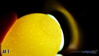 Egg#1