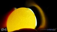 Egg#4
