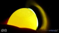 Egg#6