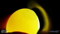 Egg#2