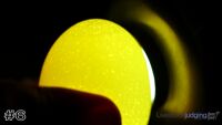 Egg#6