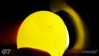 Egg#7