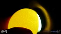 Egg#4