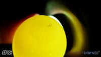 Egg#8