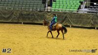Horse#2