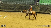 Horse#4