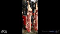Carcass#2