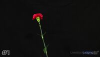 Flower#1