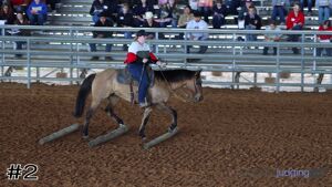 Class #1 Ranch Riding thumbnail
