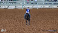Horse #1