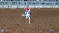 Horse #2