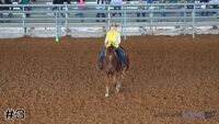 Horse #3