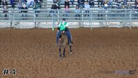 Horse #4