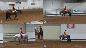 AQHA #6